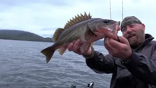 Tricks to Identifying and Catching Rockfish in Southeast Alaska (how to descend rockfish)