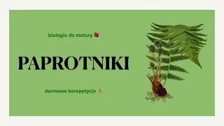 #15 Paprotniki - budowa, charakterystyka, cykle rozwojowe 🌿 matura biologia rozszerzona