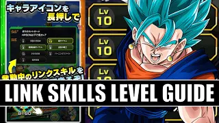 Complete Guide on Link Skill Levels | Dragon Ball Z Dokkan Battle