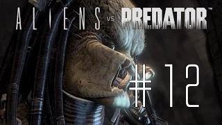Aliens vs Predator 3 [Predator ] #12 - Kopf sammeln... - Let`s Play
