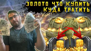 Куда тратить эффективно золото в игре | Warpath Ace Shooter