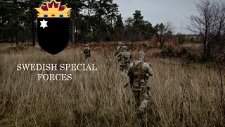 Swedish special forces | "Särskilda Operationsgruppen"