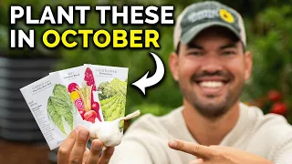 11 Crops You Can Still Plant in October RIGHT NOW