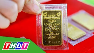 Hôm nay 14/5, tiếp tục đấu thầu vàng miếng | THDT