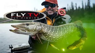FLY TV - Arctic Circle PIKE FLY Madness