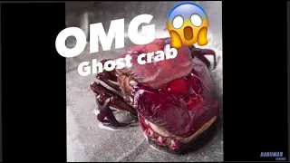 OMG ghost crab 😳😱| #shorts