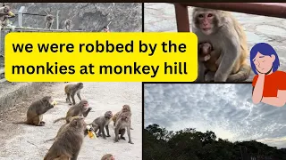 Monkey hill HK || We tried our best to save our food but all unsuccessful attempt || 🇭🇰🇳🇵🐵🐒🙊🙉🙈