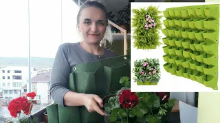 BALKONDA BAHÇE🍓ÇİÇEKLER 🍓ÇİLEK SAKSISI 🍓 ÜRÜN İNCELEME / KUTU AÇILIMI 🎁 KEÇE SAKSI 🌱 ÇİÇEK SAKSISI 🌹