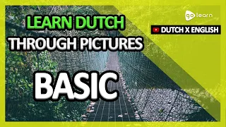 Learn Dutch Through Pictures |Dutch Vocabulary Basic | Golearn