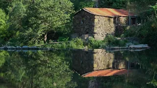 Мелодия для души "Старинный пруд".  Музыка Сергея Чекалина