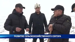 Акылбек Жапаров принял участие в озеленении в Жерге -Тальском сельском округе Аксыйского района