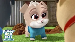 Meet Keia! 🐾 | Puppy Dog Pals | Disney Junior