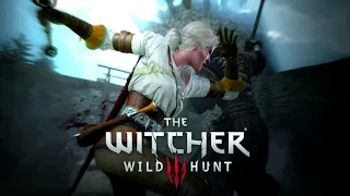 The Witcher 3: Wild Hunt Tribute 'Heat vs. Cold' [HD]