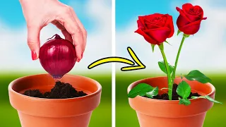 INCREDIBLE GARDENING TIPS AND GROWING HACKS FOR PLANT LOVERS