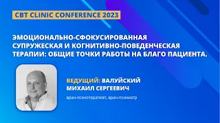 Эмоционально-сфокусированная супружеская и КПТ терапии: общие точки работы на благо пациента.