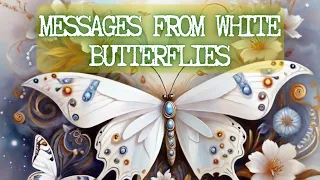 Wonderful Spiritual Meanings of White Butterflies