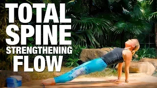 Total Spine Strengthening Flow Yoga Class - Five Parks Yoga