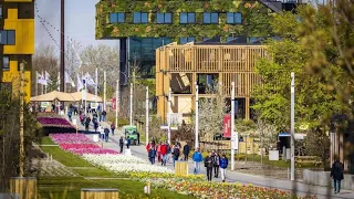Gartenbauausstellung „Floriade“: Wie sieht die grüne Stadt der Zukunft aus?