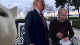 Ievan Polkka meme Donald Trump DANCES Joe Biden drumming with a CAT. FUNNY 🐈