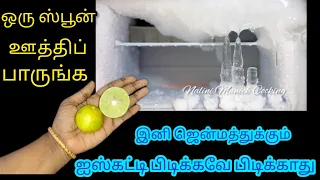 யாரும் சொல்லாத புத்தம் புது டிப்ஸ்/KitchenTips/Fridge freezer/@nalinimanickcooking