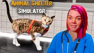 В ПРИЮТЕ ДЛЯ ЖИВОТНЫХ Я СПАСАЮ КОШЕЧКУ! Animal Shelter Simulator