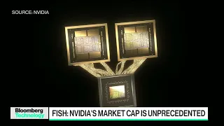 Nvidia's Market Capital is Unprecedented: Janus Henderson's Fish