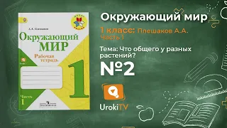 Задание 2 Что общего у разных растений? - Окружающий мир 1 класс (Плешаков А.А.) 1 часть