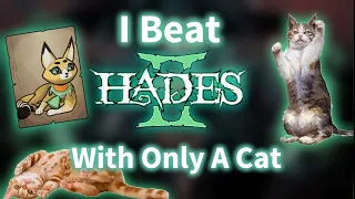 Can You Beat Hades ll With Only A Cat?