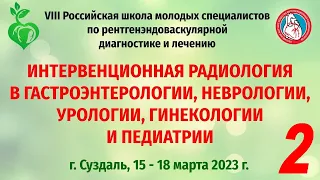 (2023.03.16) 8 Российская школа молодых специалистов по рентгенэндоваскулярной диагностике и лечению