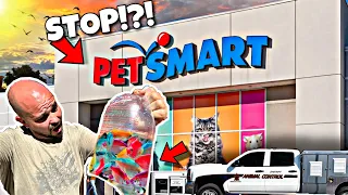 Should Petsmart Sell GloFish?!?