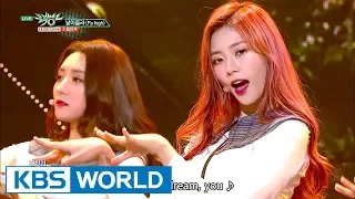 Dreamcatcher - Fly high | 드림캐쳐 - 날아올라 [Music Bank / 2017.09.08]