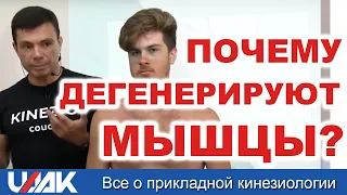 Почему мышцы дегенерируют? (Глеб Кирдогло)