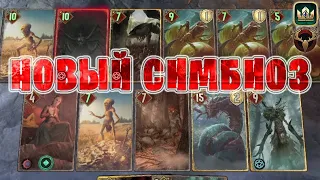 Gwent | СИМБИОЗ и СКОЛОПЕНДРОМОРФ (Сила природы) — гайд | Гвинт Патч 11.2