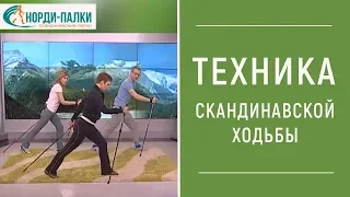 ТЕХНИКА СКАНДИНАВСКОЙ ХОДЬБЫ Видео. Как правильно ходить с палками.