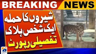 One person killed by Tiger attack in Bahawalpur zoo, detailed report | Geo News