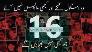 A TRIBUTE TO APS MARTYRS | ARMY PUBLIC SCHOOL PESHAWAR ATTACK | 16-DEC-2014 | PAKISTAN | Janlo