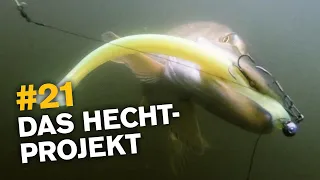 200 Hechte in 2 Monaten 👉 das Hechtprojekt 🎣🔥