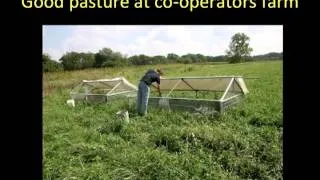 A Novel Nutritional Approach to Rearing Organic Pastured Broiler Chickens