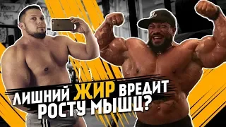 КОГДА НАБОР МАССЫ ПЕРЕХОДИТ В ОЖИРЕНИЕ?