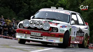 BMW M3 E30 Rally Tribute / Brutal Sound 😍 Group A [RallyCatRacing]