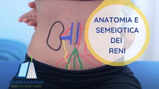 RENI - SEMEIOTICA E ANATOMIA PALPATORIA