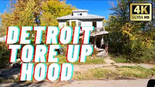 detroit neighborhood /  RIDE THRU #4K // 7 MILE RD & JOHN R RD AREA