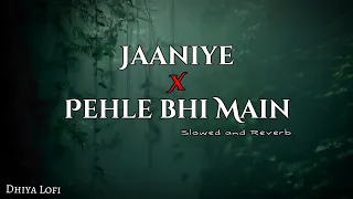 Jaaniye X Pehle Bhi Main | Slowed And Reverb | Arijit Singh |  Bollywood Lo-fi  | Dhiya Lofi |