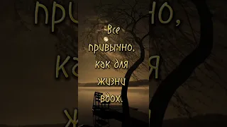 Почему же люди видят разное? 💯 Жизненная поэзия. 💯 Потрясающий стих. 💯  #shorts