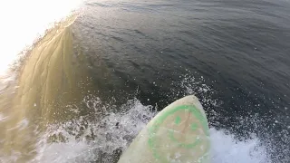 POV SURF Sketchy Backhand Popups