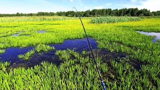 БЕШЕНЫЙ КЛЁВ ЩУКИ !!! рыбалка ловля щуки на спиннинг