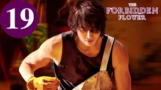 ENG SUB | The Forbidden Flower | EP19 | 夏花 | Jerry Yan, Xu Ruohan