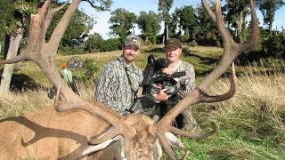 Roaring Red stag 15y archery kill New Zealand  super high Adrenaline stuff