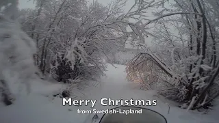 Merry Christmas from Swedish-Lapland