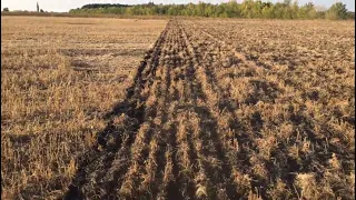 Посів озимини 2018 | Прямий посів пшениці СЗС 2.1